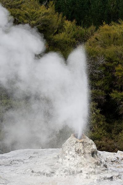 2007 04 15 Rotorua 004_DXO.jpg